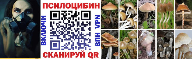 цены наркотик  Мытищи  дарк нет Telegram  Псилоцибиновые грибы Psilocybe  blacksprut ссылка 